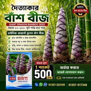 🎋 দৈত্যাকার বাঁশ বীজ 1 প্যাকেট - 500 টাকা