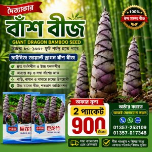 🎋 দৈত্যাকার বাঁশ বীজ 2 প্যাকেট – 900 টাকা