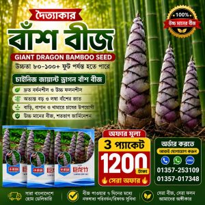 🎋 দৈত্যাকার বাঁশ বীজ 3 প্যাকেট – 1200 টাকা